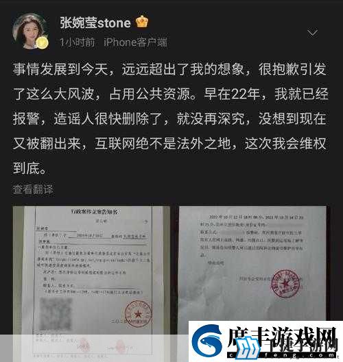 张婉莹-当然可以！以下是一些基于“张婉莹”的新标题建议-每个标题都有十个字以上：